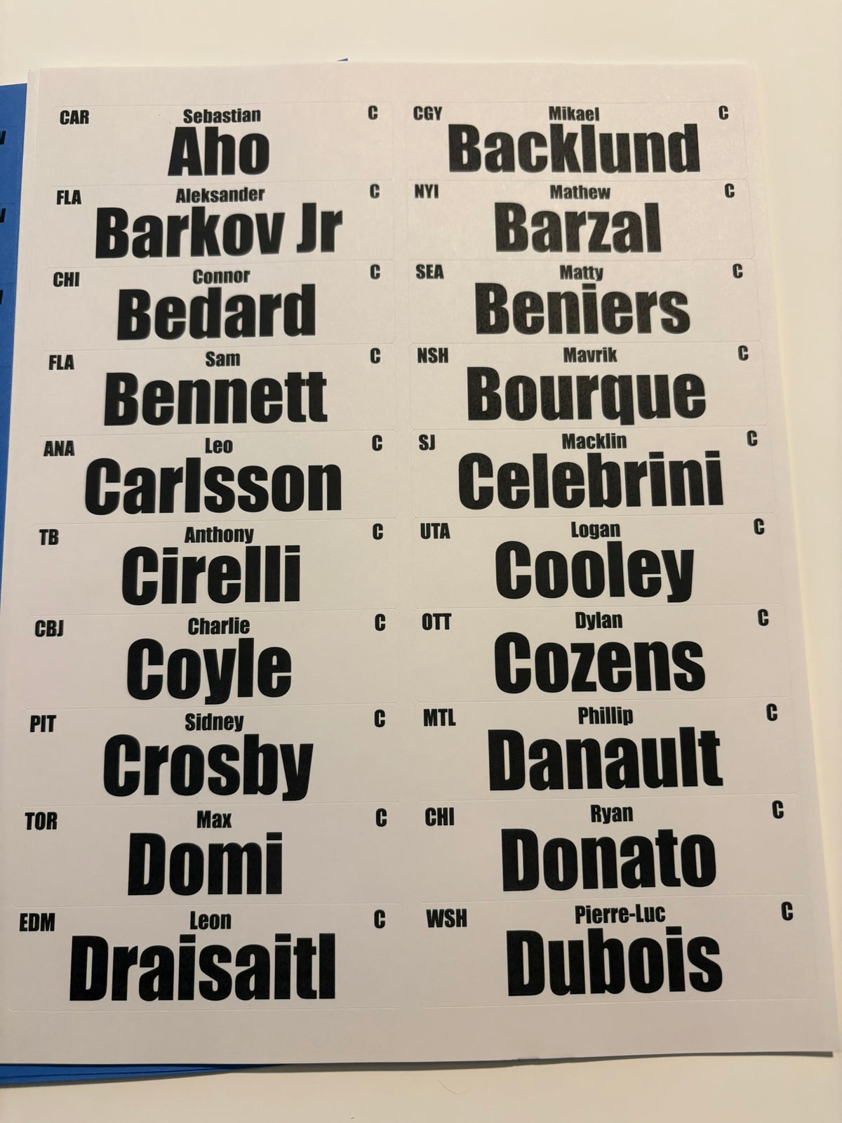 2026 Fantasy Hockey Player Labels 1x4