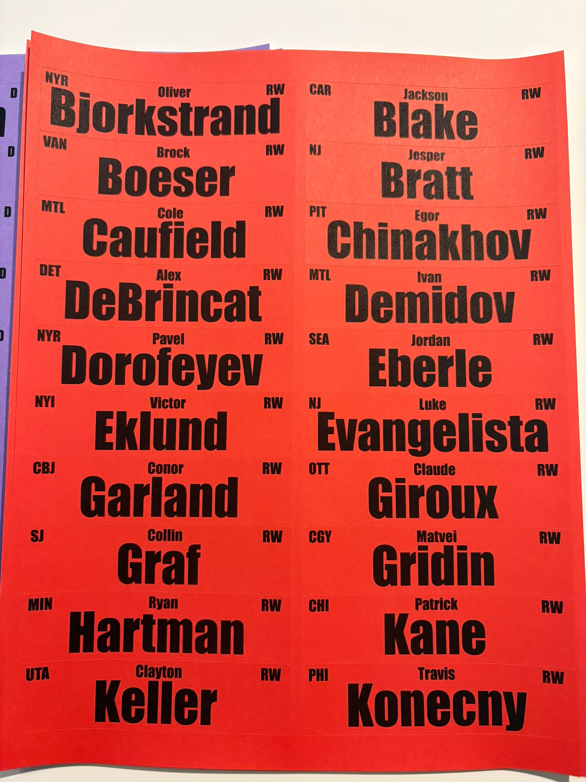 2026 Fantasy Hockey Player Labels 1x4