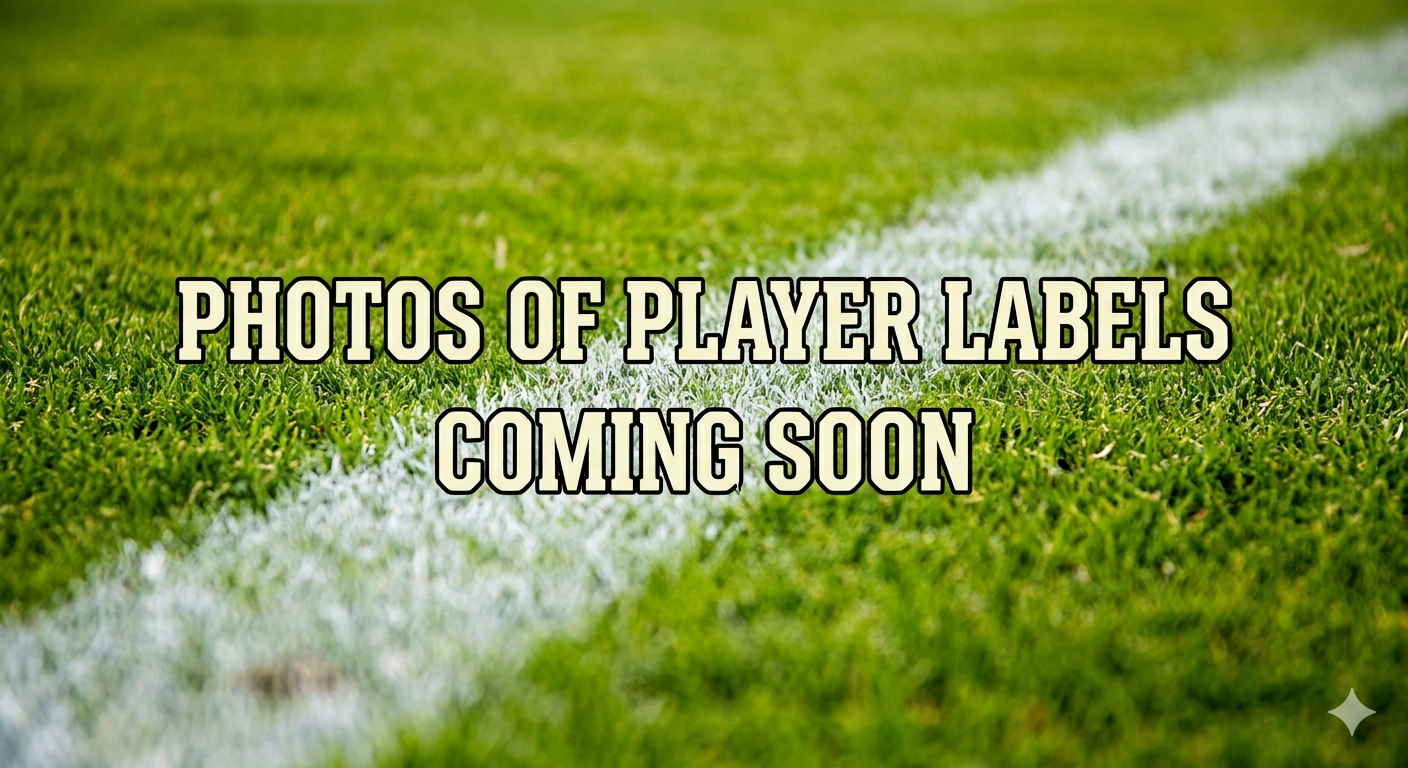 Premier Draft/Auction Kit for 8/10/12/14 Teams